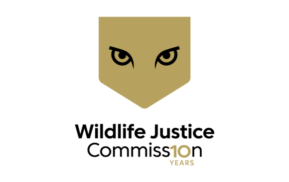 A decade of impact: Taking down the kingpins of wildlife crime